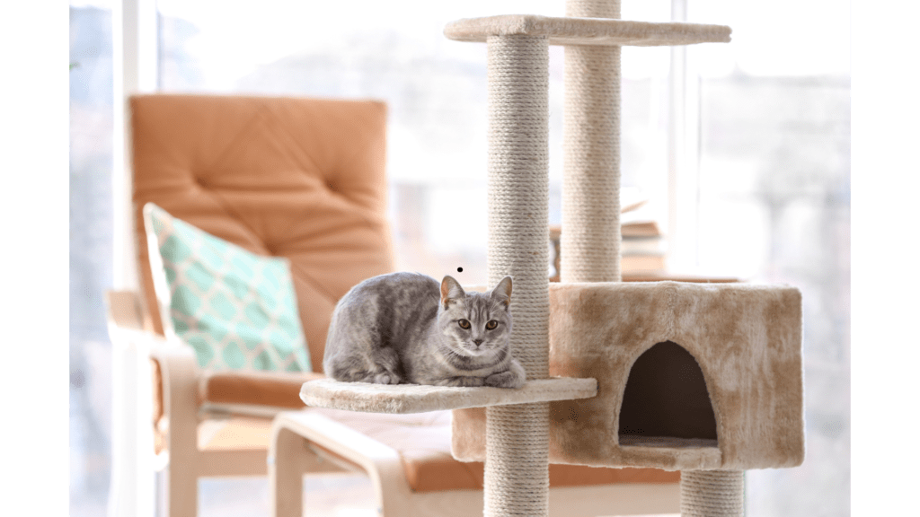 DIY Cat Furniture For Your Feline Friend