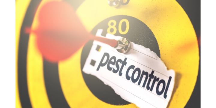 How to Master DIY Pest Control Now – Easy Tips