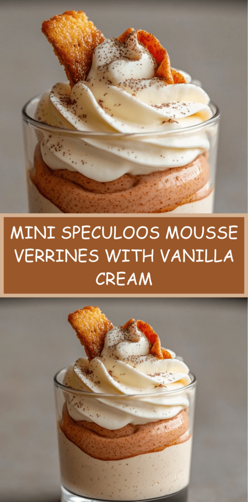 Mini glass verrines layered with creamy speculoos mousse and vanilla whipped cream, decorated with speculoos biscuit pieces and dusted with cocoa powder.