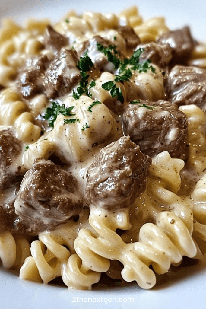 A bowl of Beef Rotini Pasta coated in creamy garlic Parmesan sauce with tender browned beef pieces, garnished with parsley and extra grated cheese.